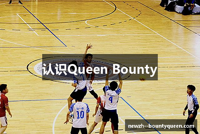 认识Queen Bounty